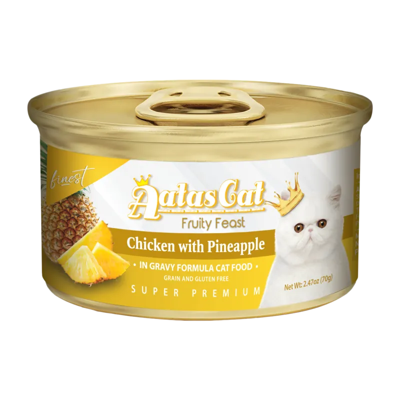 Aatas Cat Finest Fruity Feast Chicken with Pineapple in Gravy 70g