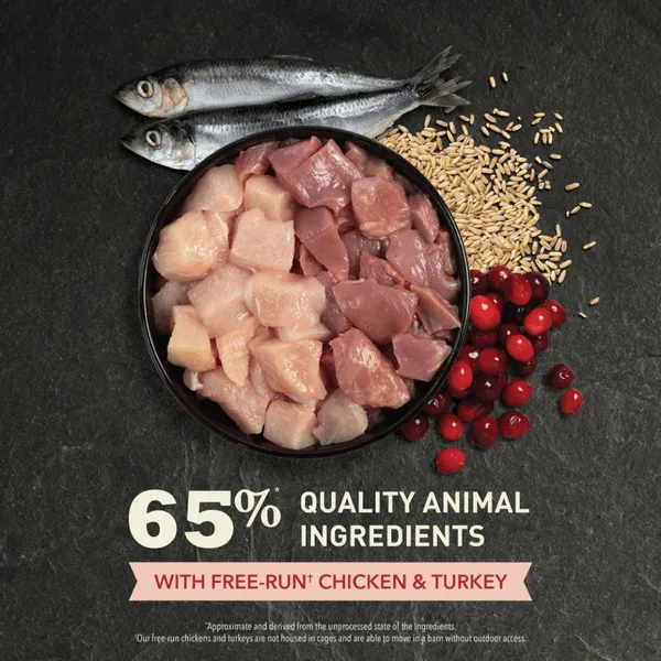 ACANA Indoor Entree Dry Cat Food