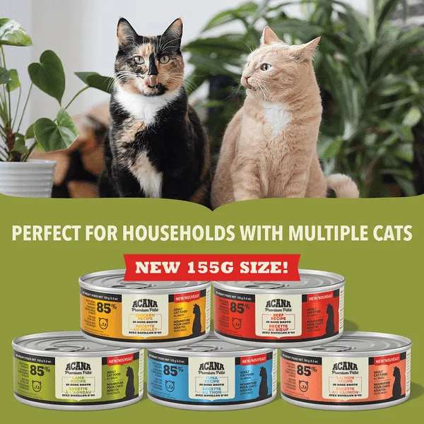 ACANA Premium Pate Lamb Recipe Canned Cat Food