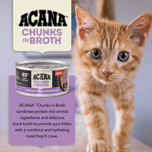 ACANA Chunks in Broth Chicken & Salmon Kitten Recipe Canned Cat Food, 5.5oz