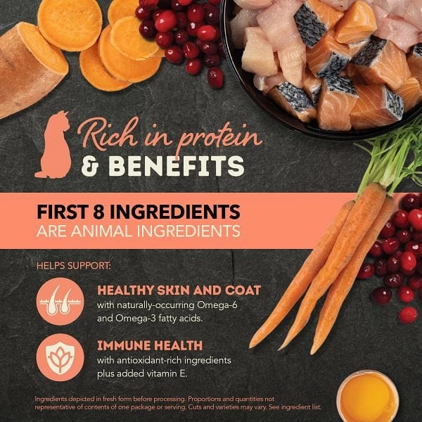 ACANA Chunks in Broth Salmon & Chicken Recipe Canned Cat Food, 5.5oz