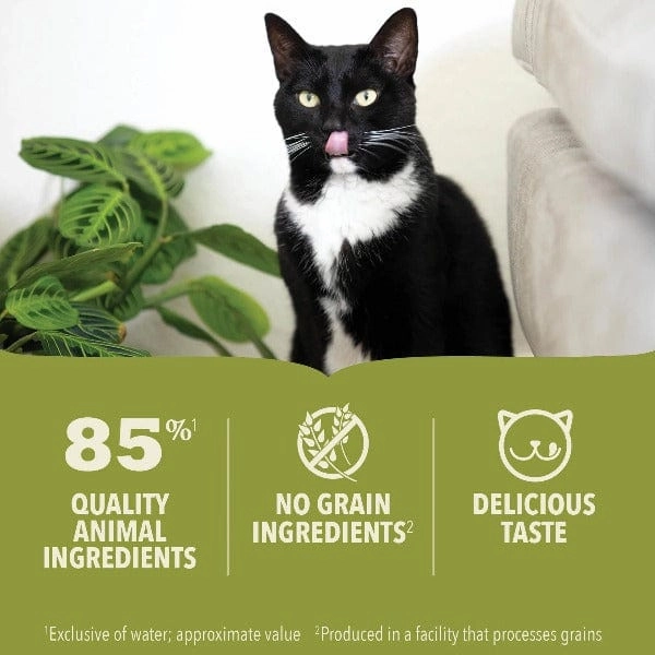 ACANA Premium Pate Chicken & Tuna Kitten Recipe Canned Cat Food