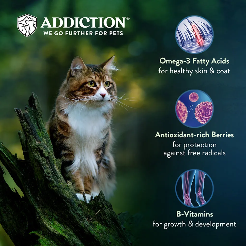 Addiction Cat Salmon Bleu 10lb