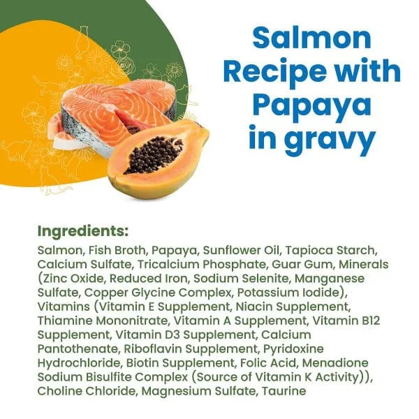 Almo Nature HQS Complete Salmon with Papaya in Gravy Canned Cat Food