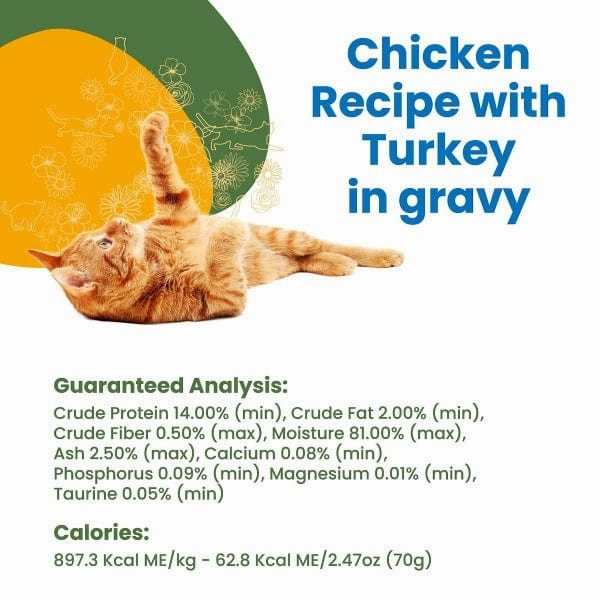 Almo Nature HQS Complete Chicken with Turkey in Gravy Canned Cat Food