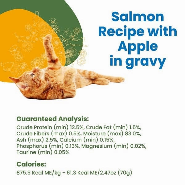 Almo Nature HQS Complete Salmon with Apple in Gravy Canned Cat Food