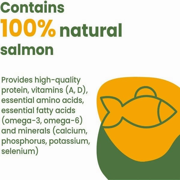 Almo Nature HQS Complete Salmon with Papaya in Gravy Canned Cat Food