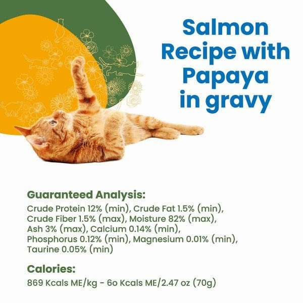 Almo Nature HQS Complete Salmon with Papaya in Gravy Canned Cat Food