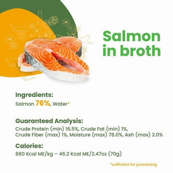 Almo Nature HQS Natural Salmon in Broth Canned Cat Food