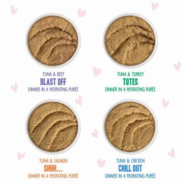 B.F.F. Play Pate Partay! 12 Pack (SPECIAL ORDER ITEM)