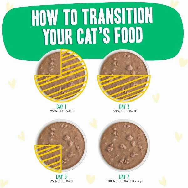 B.F.F. Text Me Chicken & Turkey Dinner in Gravy Pouch Cat Food; 12 Pack (SPECIAL ORDER ITEM)