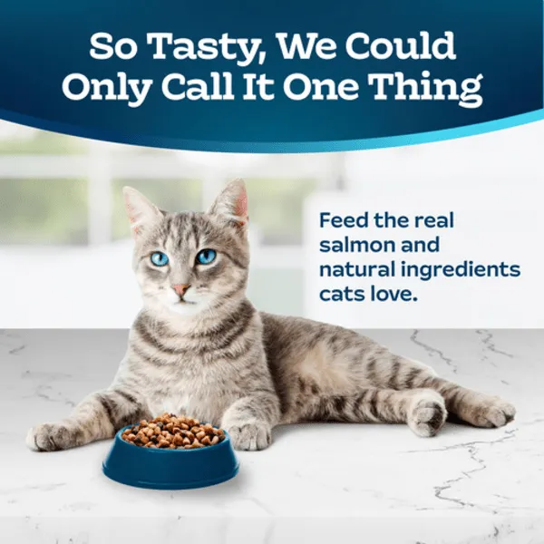 BLUE Tastefuls Indoor Health Salmon & Brown Rice Recipe Dry Cat Food