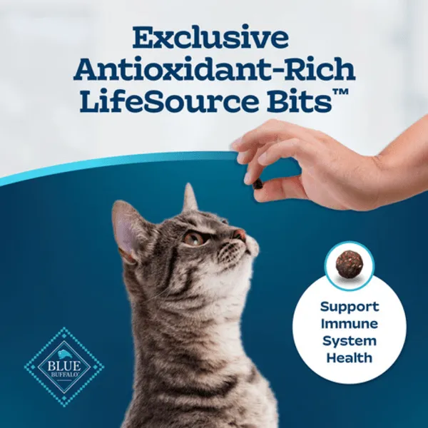 BLUE Tastefuls Indoor Health Salmon & Brown Rice Recipe Dry Cat Food