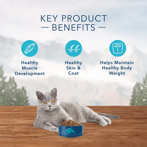 BLUE Wilderness Grain Free Indoor Chicken Recipe Dry Cat Food