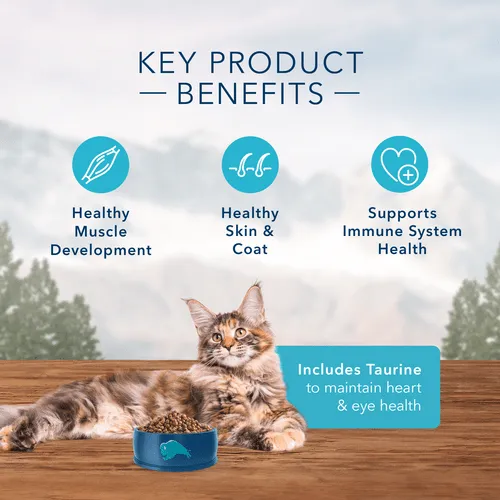BLUE Wilderness Grain Free Salmon Recipe Dry Cat Food