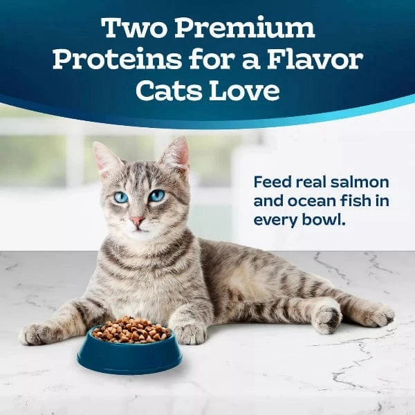 BLUE Tastefuls Multi-Protein Salmon & Ocean Fish Cat Food Recipe Dry Cat Food, 7lb