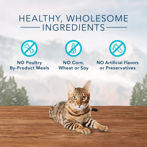 BLUE Wilderness Grain Free Crunchy Cat Treats; Tasty Trout Flavor