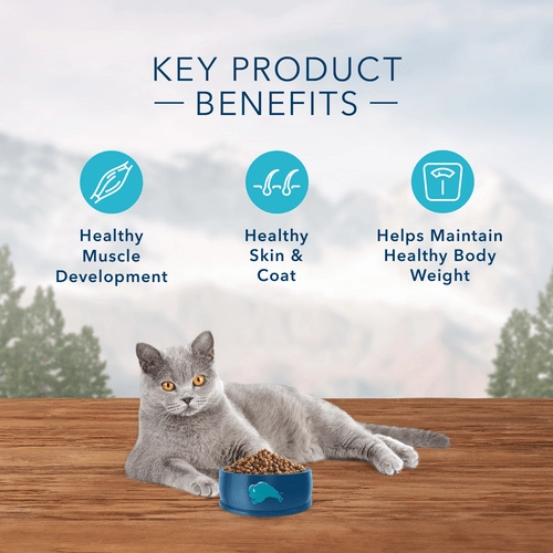BLUE Wilderness Grain Free Indoor Chicken Recipe Dry Cat Food