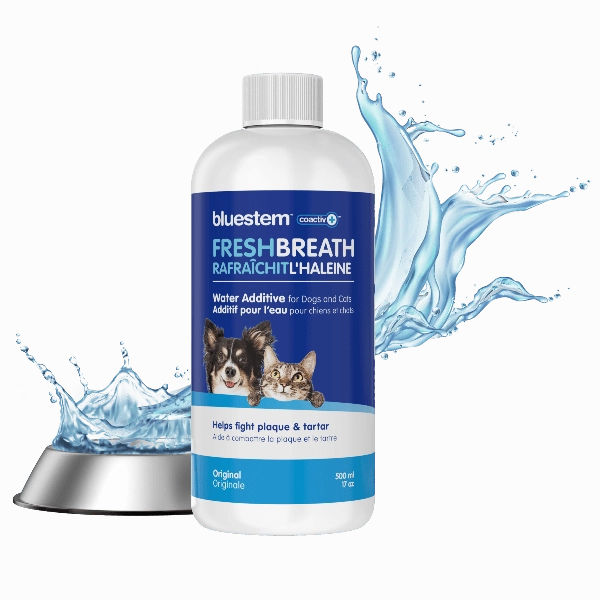 Bluestem Oral Care Original Flavor Water Additive for Cats & Dogs