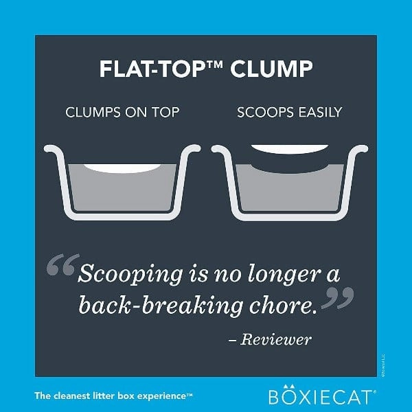 Boxiecat Scent-Free Premium Clumping Clay Cat Litter, 28lb