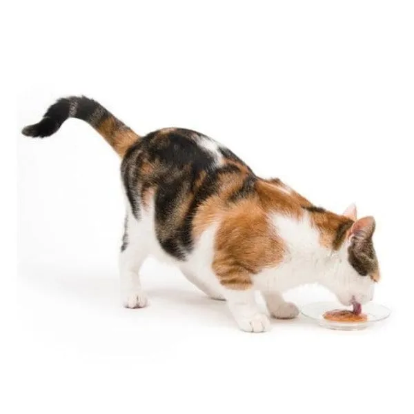 Catit Creamy Lickable Assorted Multipack Cat Treat