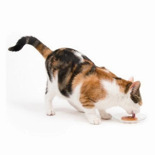 Catit Creamy Lickable Assorted Multipack Cat Treat