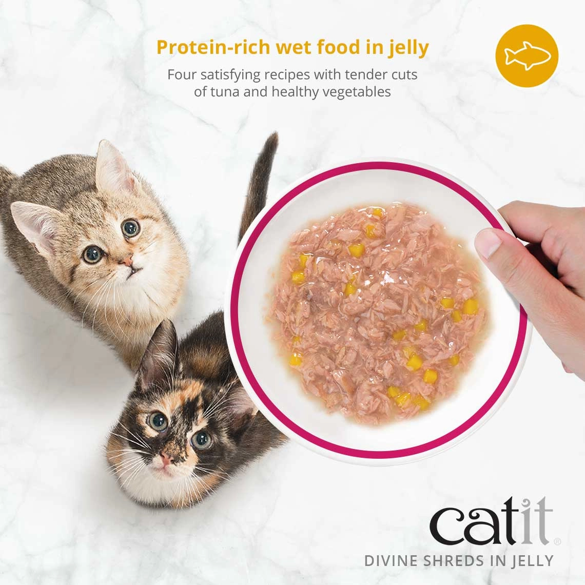 Catit Divine Shreds Tuna with Chicken & Wakame in Jelly Canned Cat Food Topper 4-Pack