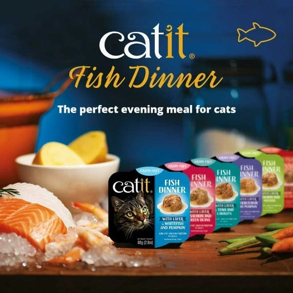 Catit Fish Dinner with Tilapia & Potato Wet Cat Food