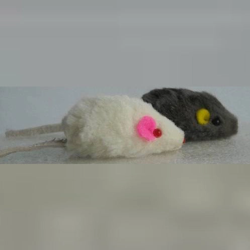 CattyMan Mouse