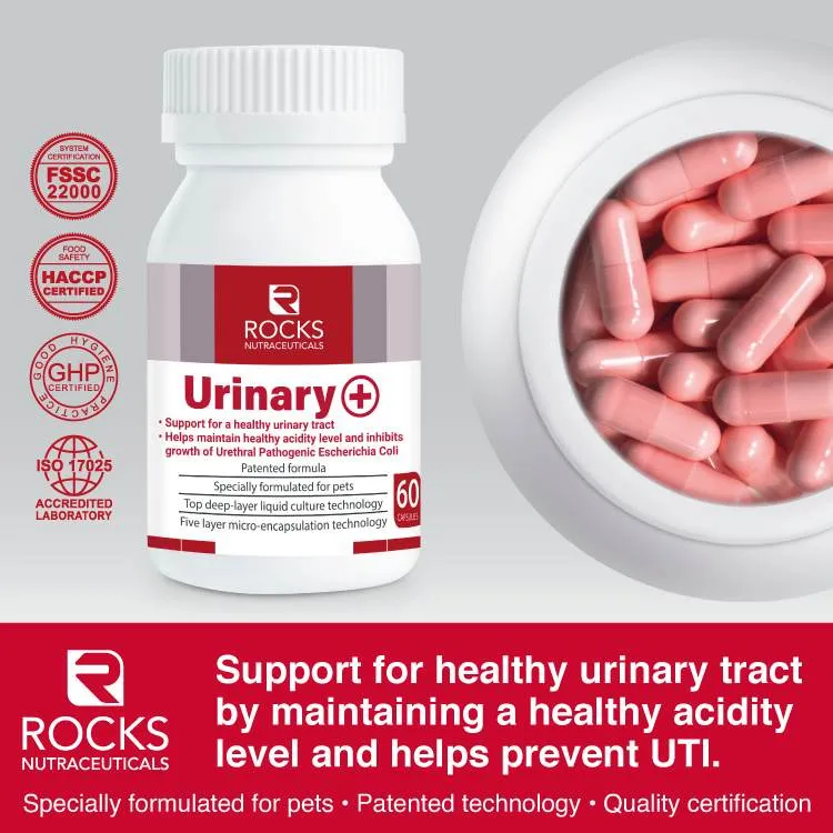 *CHILLED* Rocks Nutraceuticals Urinary  60caps