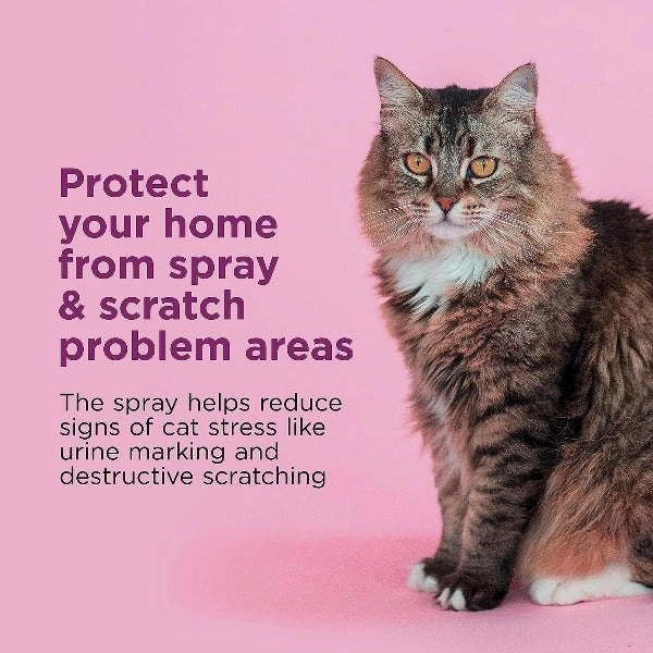 Comfort Zone Spray & Scratch Control Spray