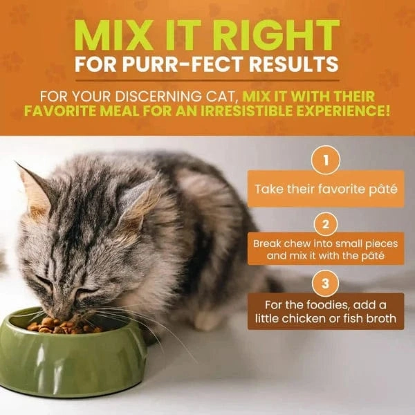 Cymbia UT BALANCE  Urinary Health Cat Supplement