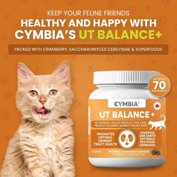 Cymbia UT BALANCE  Urinary Health Cat Supplement
