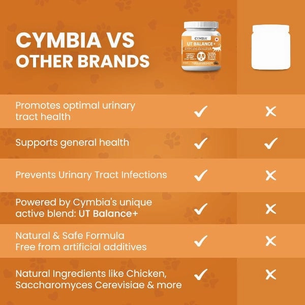 Cymbia UT BALANCE  Urinary Health Cat Supplement