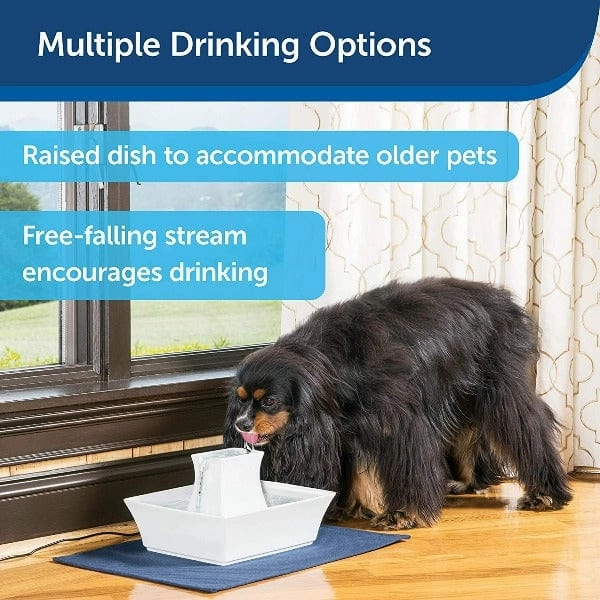 Drinkwell Pagoda Pet Fountain