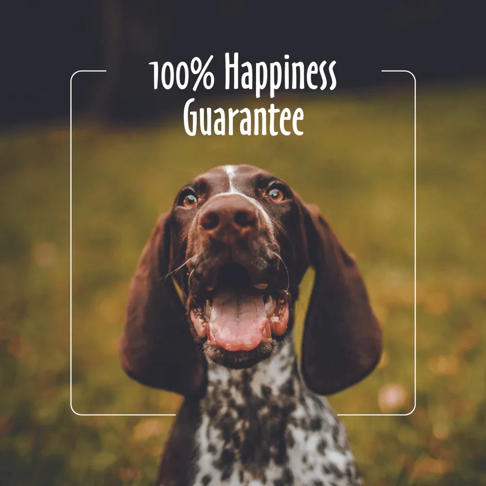 EarthBath Peppermint Flavor Tooth & Gum Wipes for Dogs and Cats