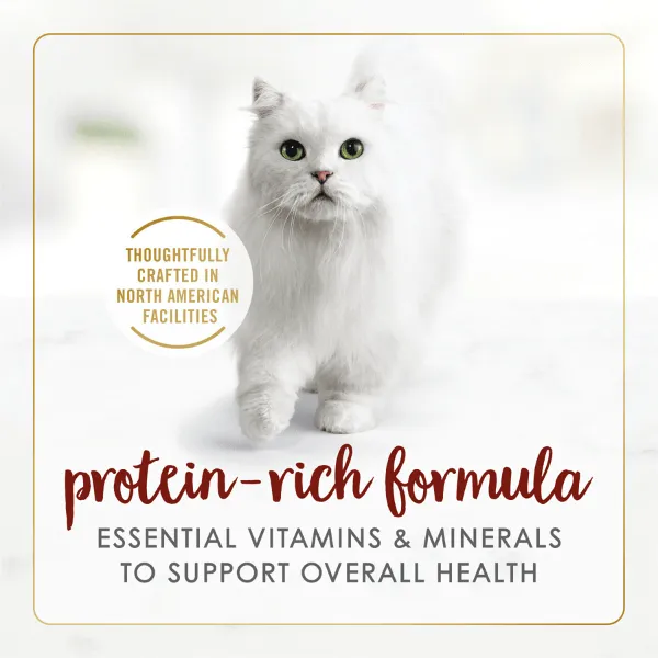Fancy Feast Pate Beef Flavour Feast Canned Cat Food