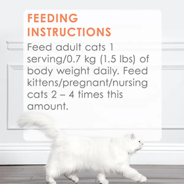 Fancy Feast Petites Wild Alaskan Salmon Entree in Gravy Wet Cat Food