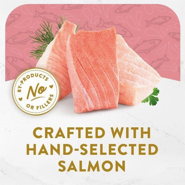 Fancy Feast Hors d'Oeuvre Steamed Wild Alaskan Salmon Appetizer for Cats