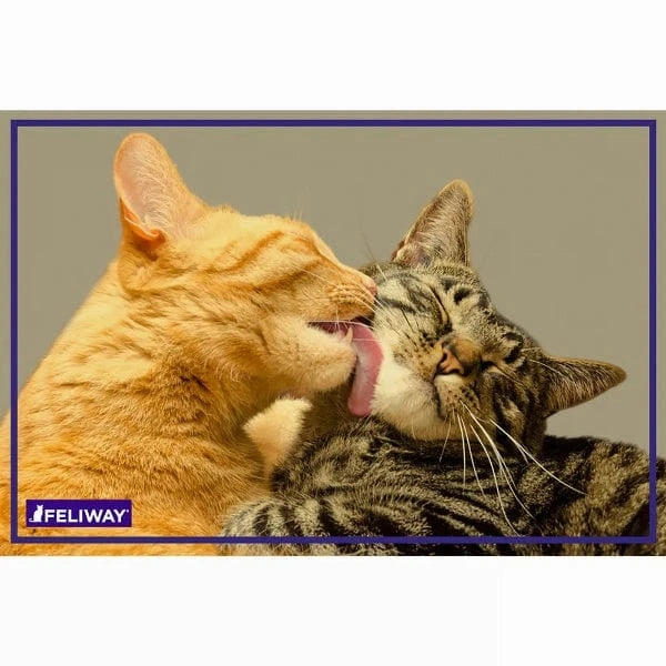 FELIWAY FRIENDS Diffuser Kit for Cats