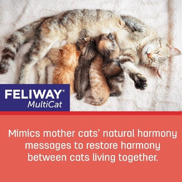 FELIWAY FRIENDS Diffuser Kit for Cats