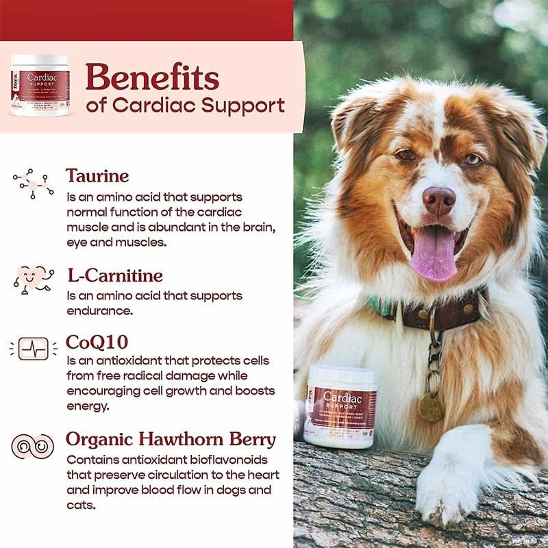 Fera Pet Cardiac Support