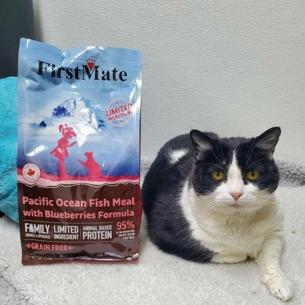 FirstMate LID Ocean Fish Meal & Blueberries Formula Dry Cat Food, 3.96lb