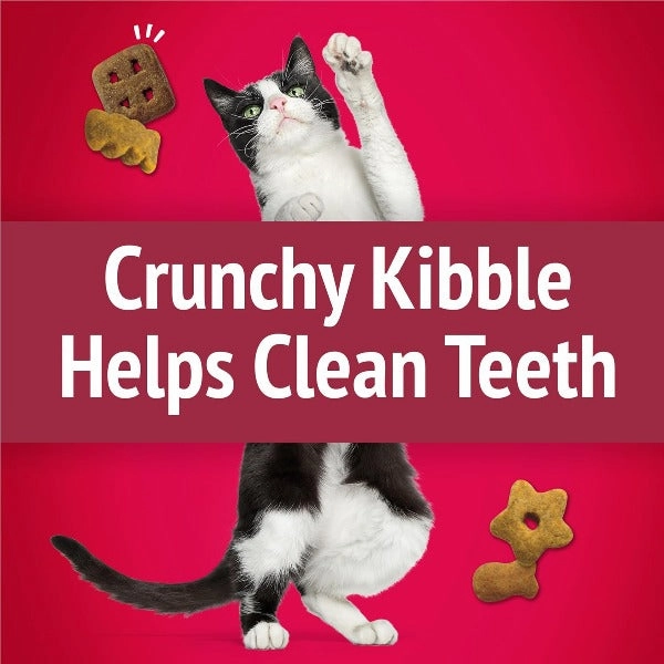 Friskies Party Mix Mixed Grill Crunch Cat Treats