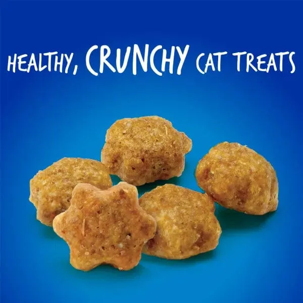 Fruitables Chicken Flavor with Blueberry Cat Treats