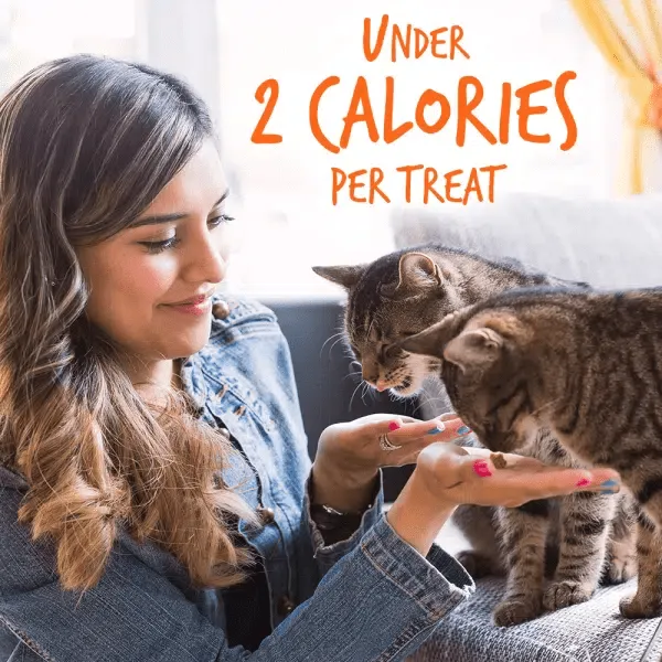 Fruitables Tuna Flavor with Pumpkin Cat Treats
