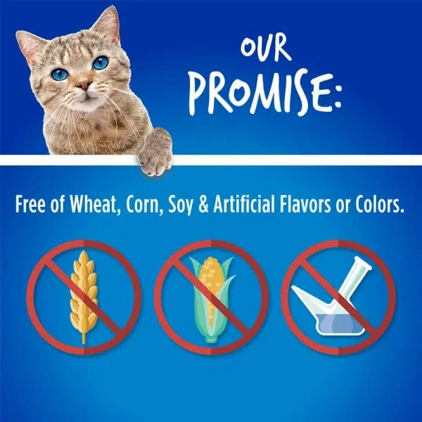 Fruitables Chicken Flavor with Blueberry Cat Treats