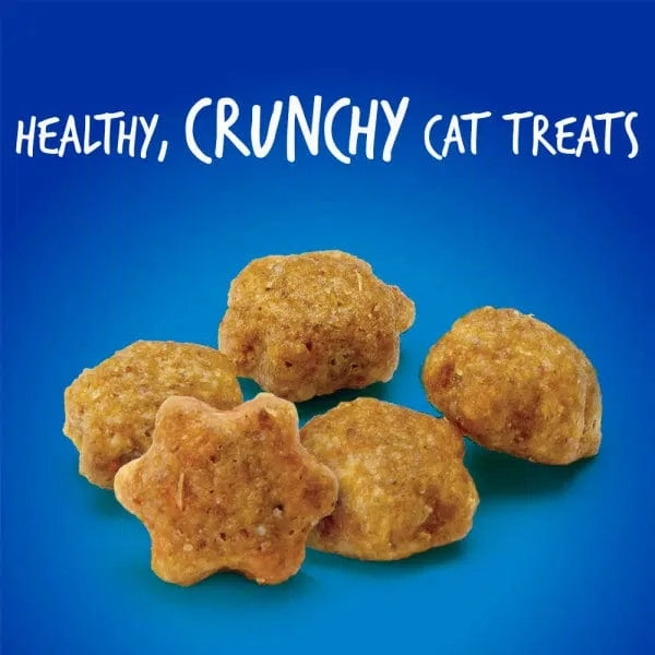 Fruitables Chicken Flavor with Blueberry Cat Treats