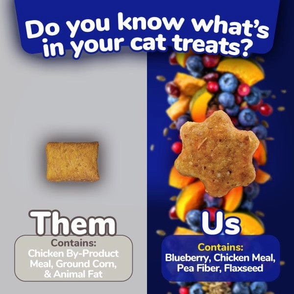 Fruitables Chicken Flavor with Blueberry Cat Treats