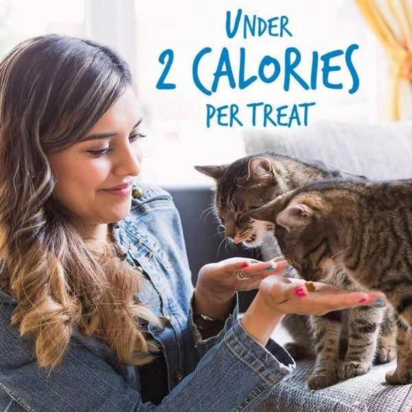 Fruitables Chicken Flavor with Blueberry Cat Treats